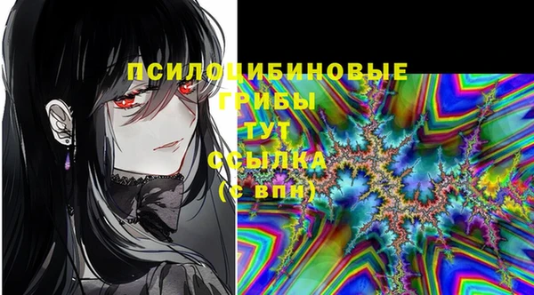спиды Костерёво