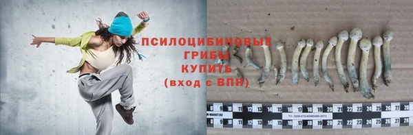 спиды Костерёво