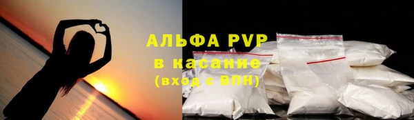 a pvp Коряжма